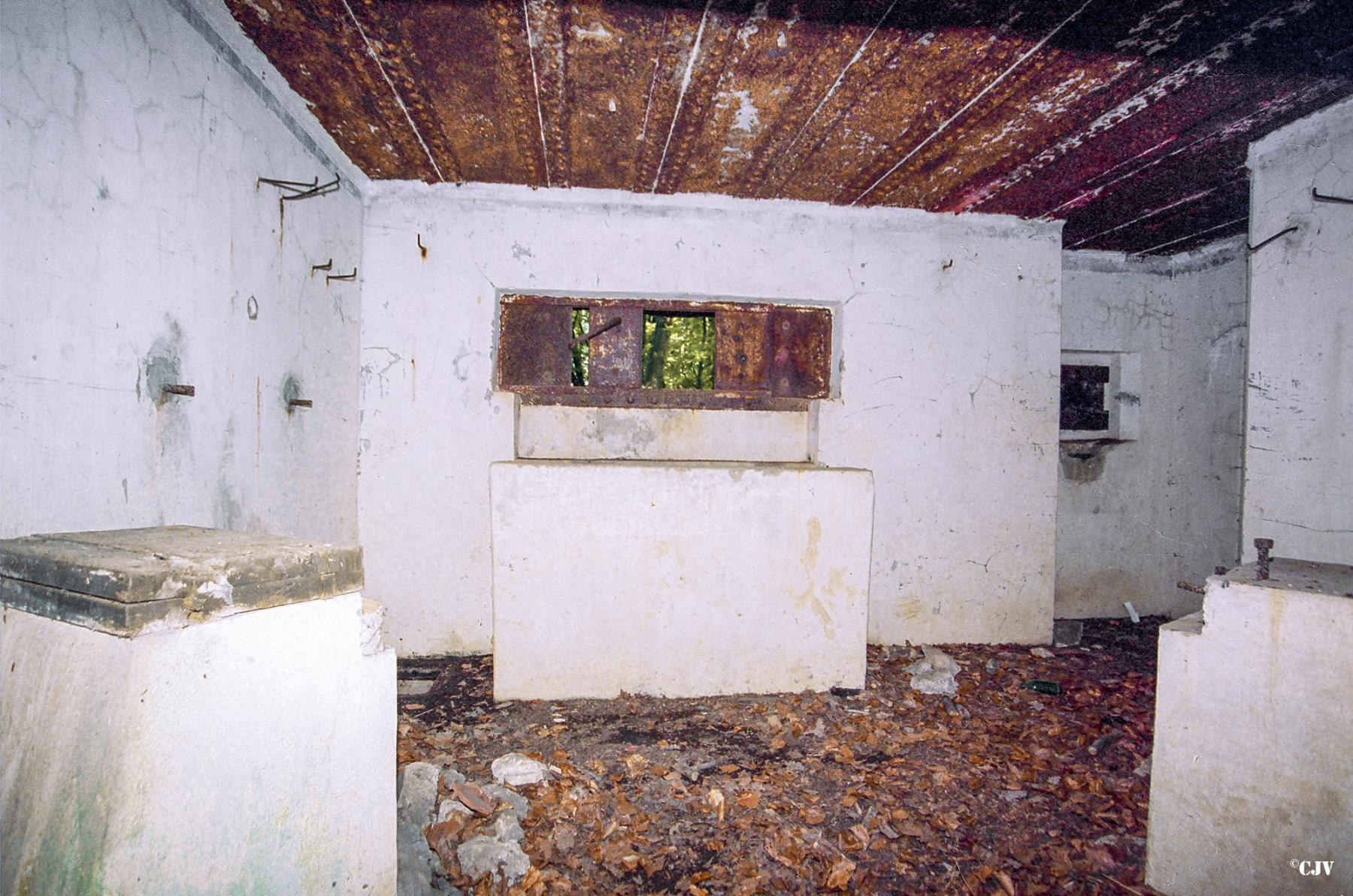Ligne Maginot - C8B - KALMERICH 6 - (Blockhaus pour canon) -  - Lia VERMEULEN