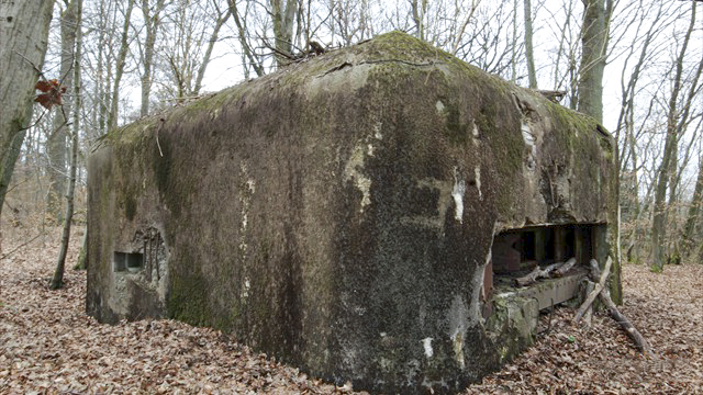 Ligne Maginot - C10B - KALMERICH 5 - (Blockhaus pour canon) -  - Association Les Bergers des Pierres
