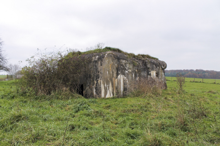 Ligne Maginot - C11 - CONFLUENT 2 - (Blockhaus pour canon) - Façade arrière - Christian LENHARD