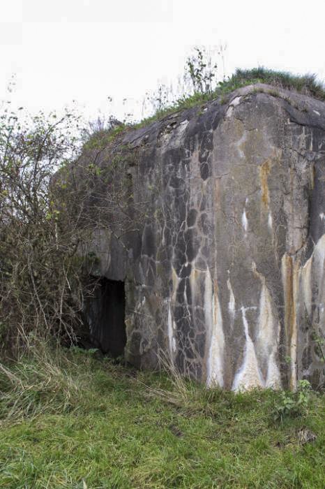 Ligne Maginot - C11 - CONFLUENT 2 - (Blockhaus pour canon) - L'entrée du matériel - Christian LENHARD