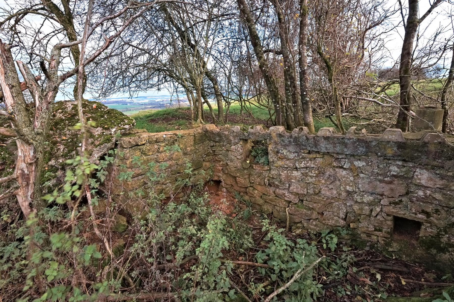 Ligne Maginot - HAUT D'HARAUCHAMPS - (Observatoire d'infanterie) - Petit abri à l’arrière de l'observatoire. - Thierry Caland