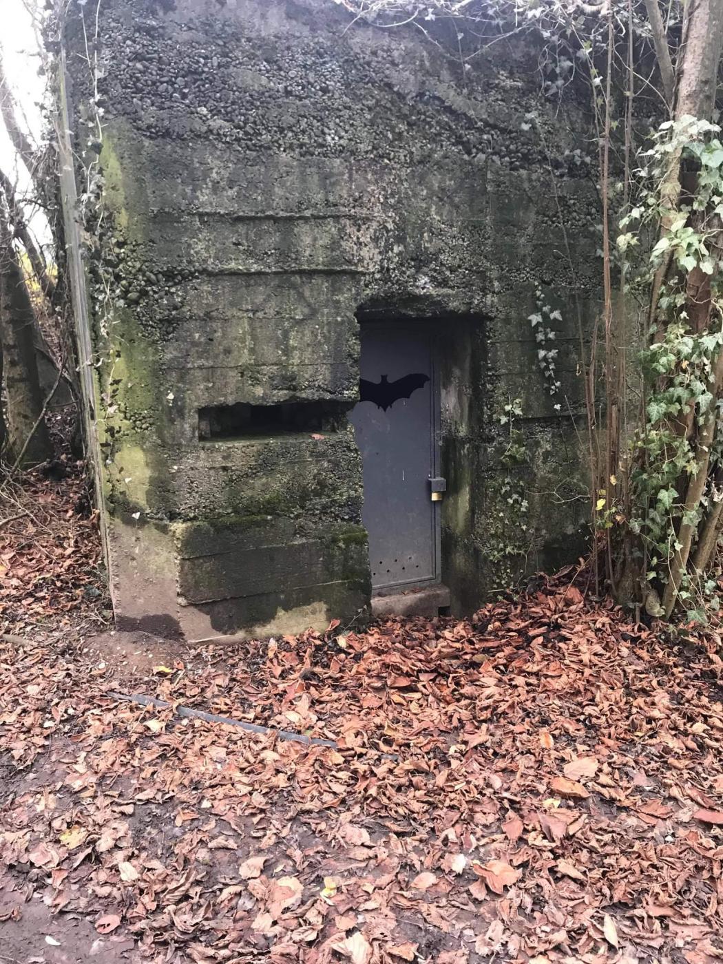 Ligne Maginot - DALHUNDEN OUEST - (Abri) - L’abri aménagé en refuge pour chauves-souris - Arthur