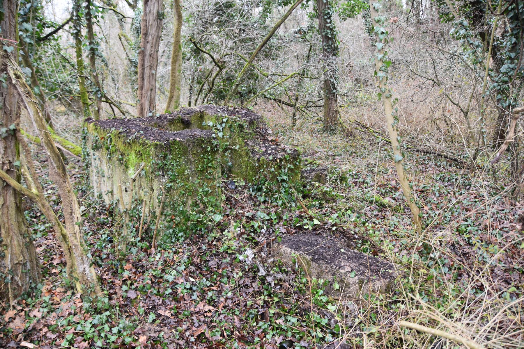Ligne Maginot - CHALAMPE SUD 3 - (Blockhaus de type indéterminé) - Reste des latrines ou soutes à charbons - Daniel Froehly