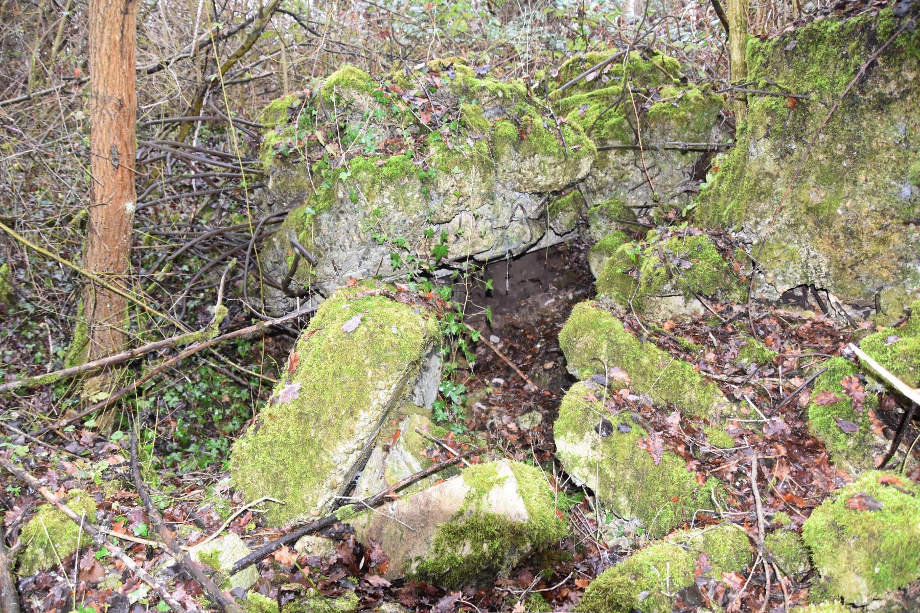 Ligne Maginot - 6/1 - CHALAMPE BERGE SUD - (Casemate d'infanterie - Double) - Abri à l'arrière de la casemate  - Daniel Froehly
