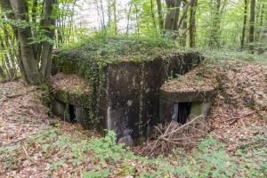 Ligne Maginot - HART OUEST 1 - (Observatoire indeterminé) - 