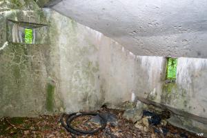 Ligne Maginot - LANGSTWALD 3 - (Blockhaus pour arme infanterie) - 