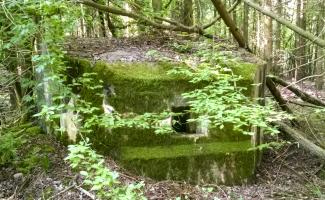 Ligne Maginot - LANGSTWALD 8 (Blockhaus pour arme infanterie) - 