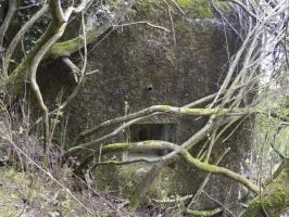 Ligne Maginot - GRAND PAQUIS - (Casemate d'artillerie) - Créneau FM, direction de tir vers l'ouest