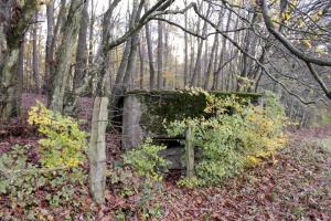 Ligne Maginot - PFAFFENBUSCH 2 - (Observatoire d'infanterie) - 