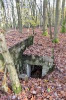 Ligne Maginot - PFAFFENBUSCH 2 - (Observatoire d'infanterie) - 