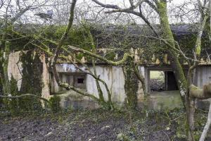 Ligne Maginot - LANTZWILLER - (Blockhaus pour canon) - La façade de tir.
