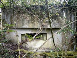 Ligne Maginot - DIGUE DE REMERING 6 - (Blockhaus pour canon) - 