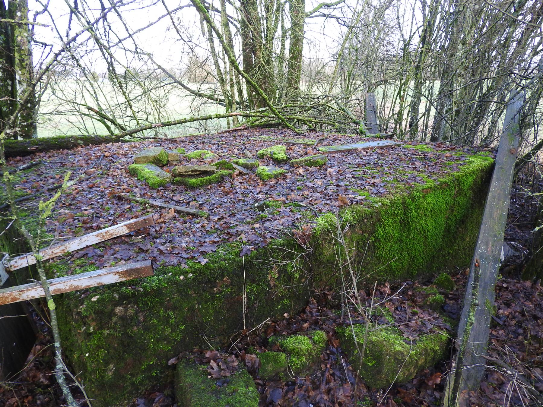 Ligne Maginot - RIMERSBERG 1 - (Blockhaus pour arme infanterie) - Le blockhaus caché dans un bosquet. - STENGER Mathieu