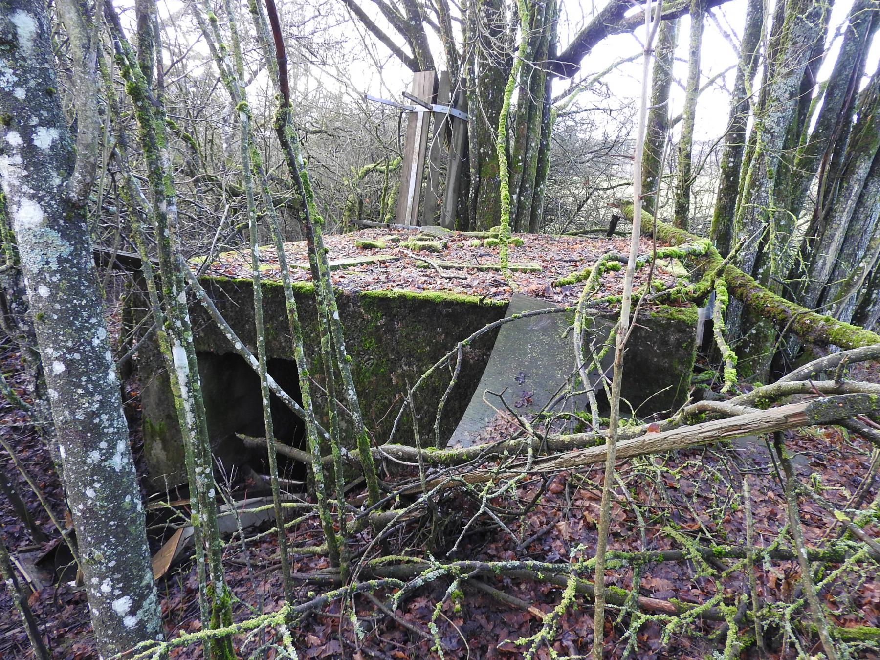 Ligne Maginot - RIMERSBERG 1 - (Blockhaus pour arme infanterie) - La façade arrière et l'entrée. - STENGER Mathieu