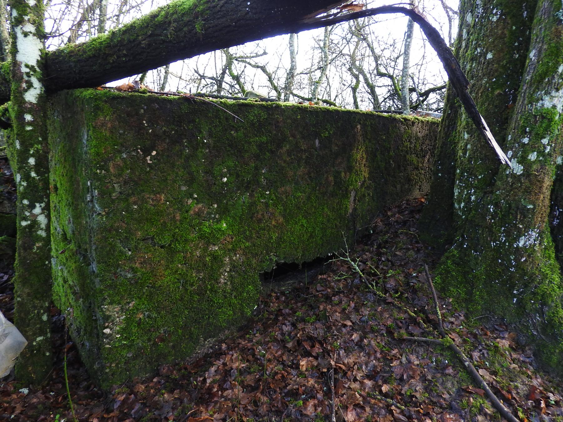 Ligne Maginot - RIMERSBERG 1 - (Blockhaus pour arme infanterie) - La façade de tir. - STENGER Mathieu