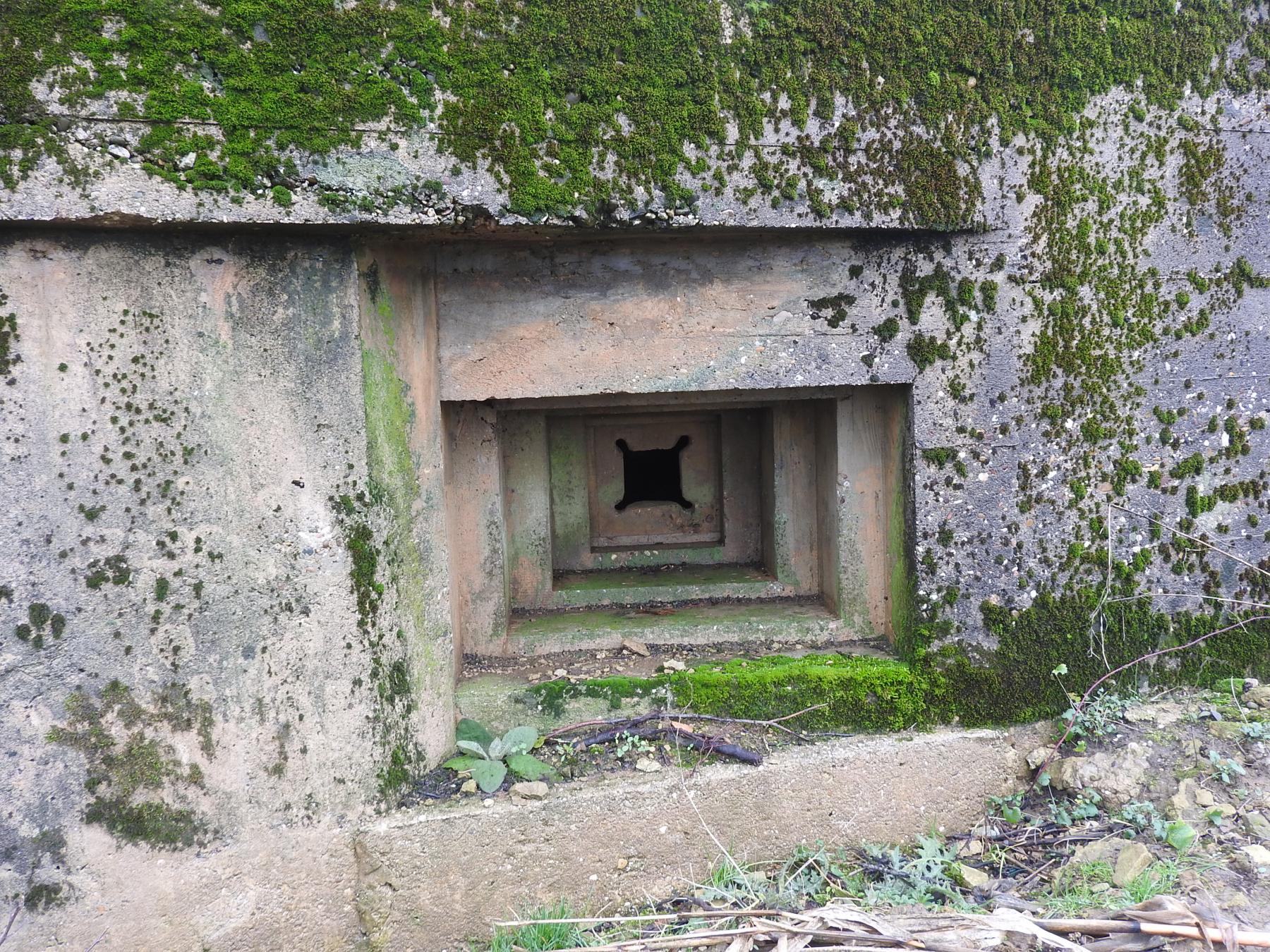 Ligne Maginot - MITTELSMUEHLE OUEST - (Blockhaus pour canon) - L'embrasure pour FM. - STENGER Mathieu