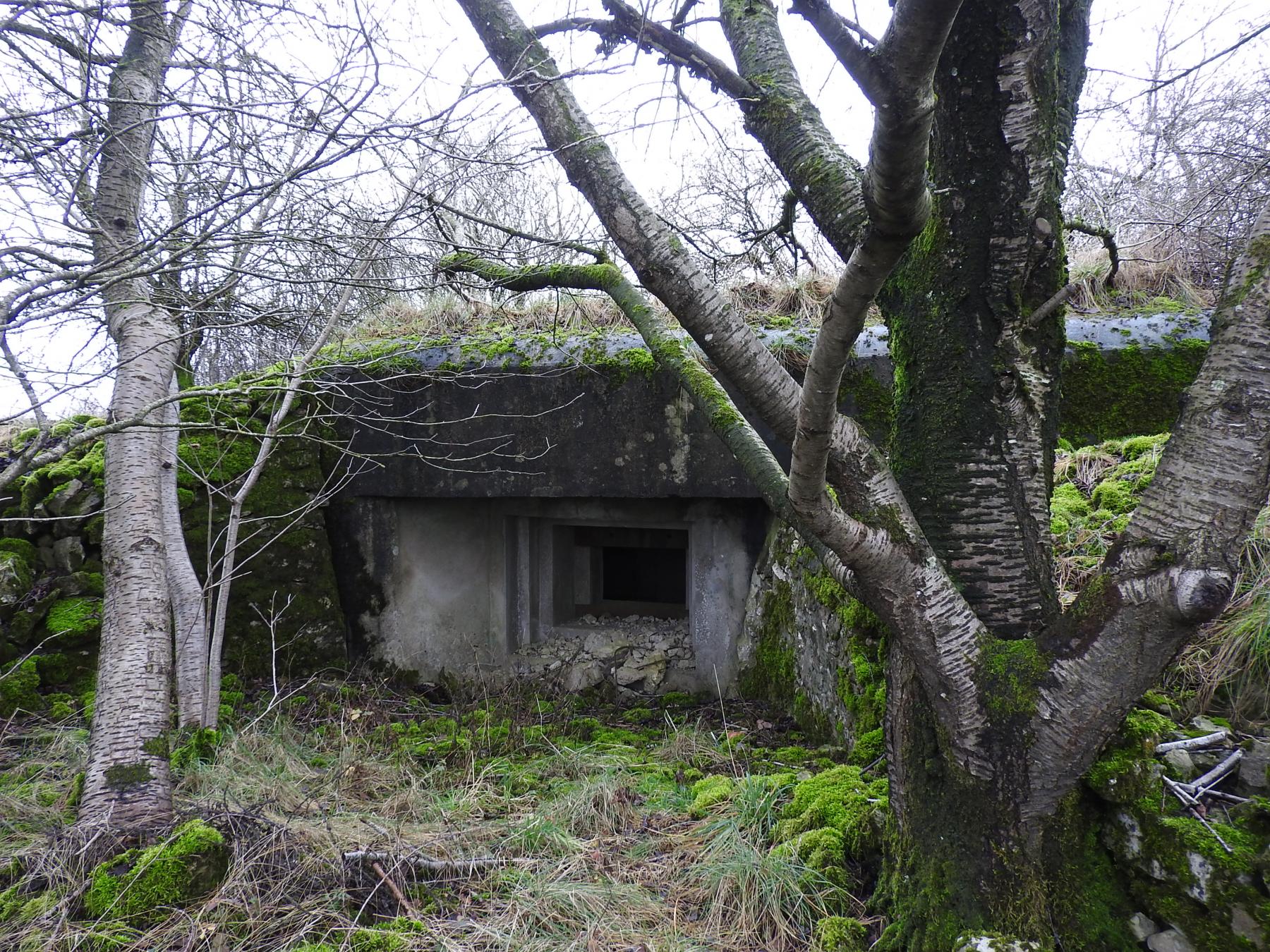 Ligne Maginot - WOLFSREDGEN EST - (Blockhaus pour canon) - La façade de tir anti-char d'action frontale. - STENGER Mathieu