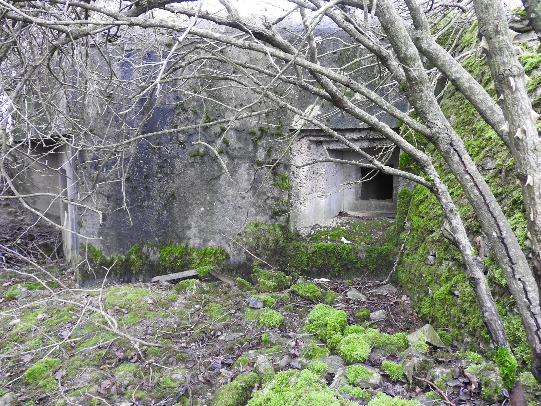 Ligne Maginot - WOLFSREDGEN EST - (Blockhaus pour canon) - Les créneaux pour armes d'infanterie. - STENGER Mathieu
