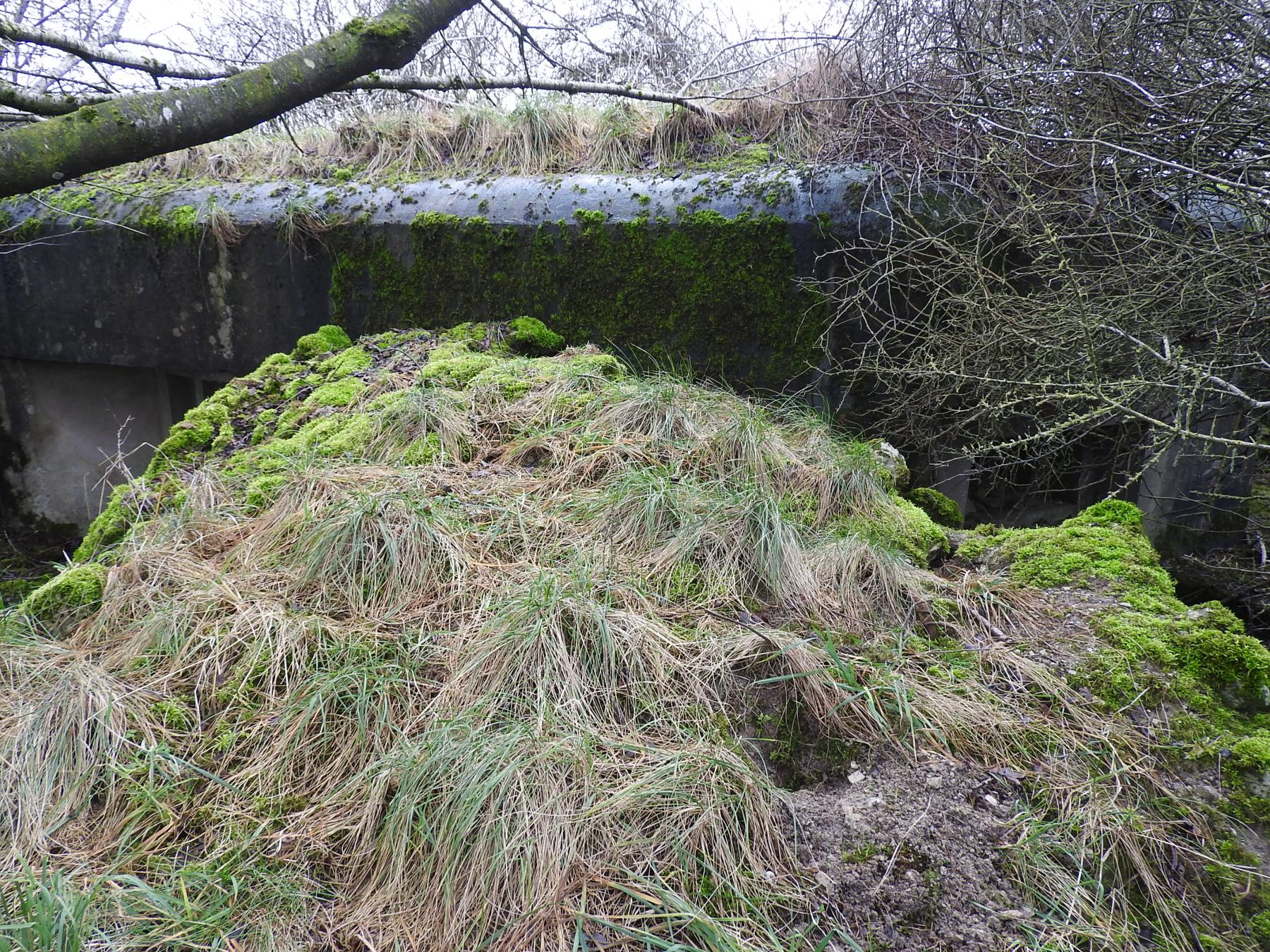 Ligne Maginot - WOLFSREDGEN EST - (Blockhaus pour canon) - Le mur orillon en maçonnerie qui sépare les deux façades de tir. - STENGER Mathieu
