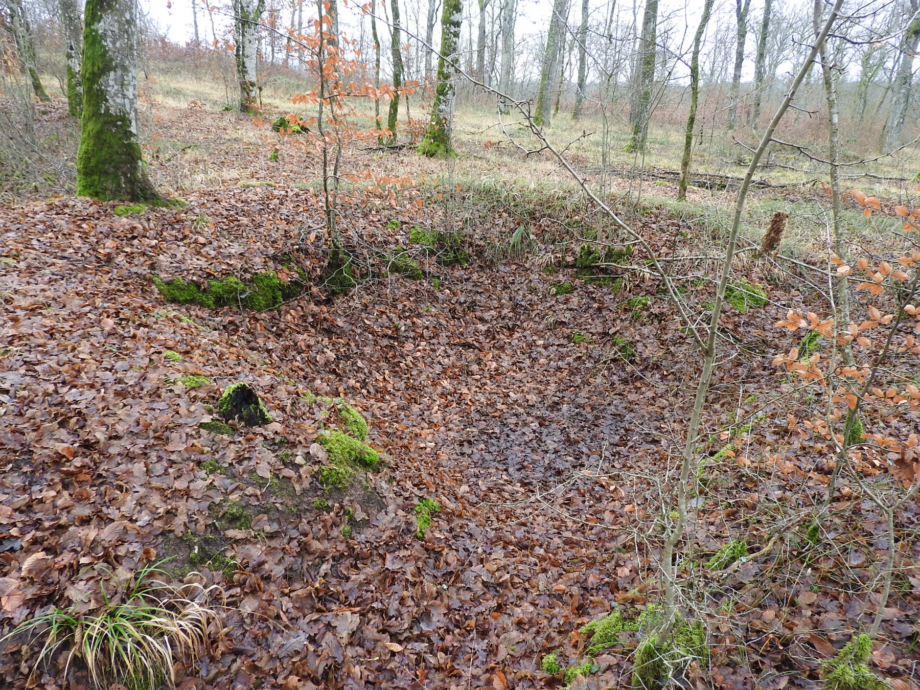 Ligne Maginot - BEWINKEL 2 (CEFV1 - I/174° RMIF) - (PC) - Un emplacement de cagna. - STENGER Mathieu