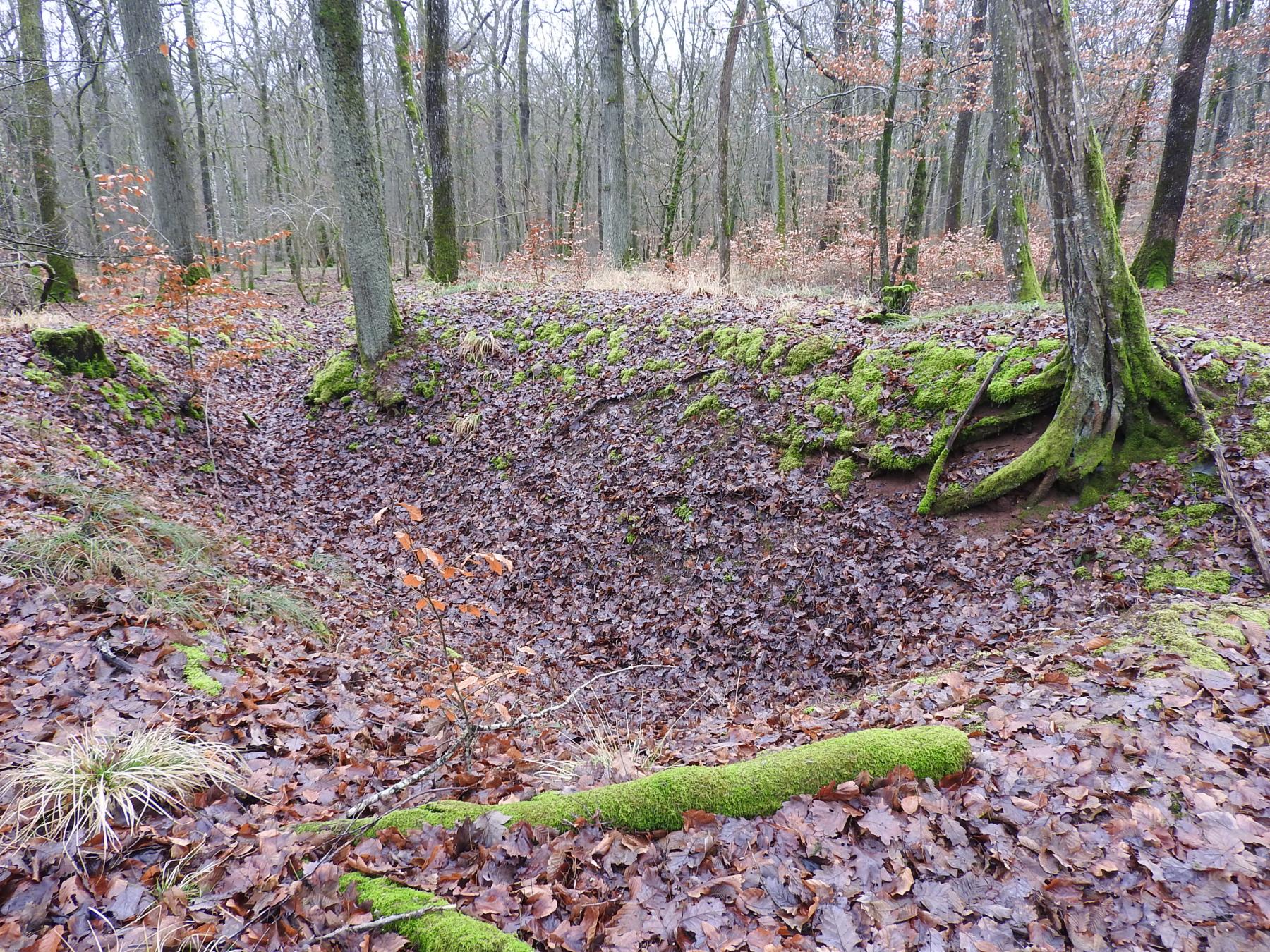 Ligne Maginot - BEWINKEL 2 (CEFV1 - I/174° RMIF) - (PC) - Un emplacement de cagna. - STENGER Mathieu