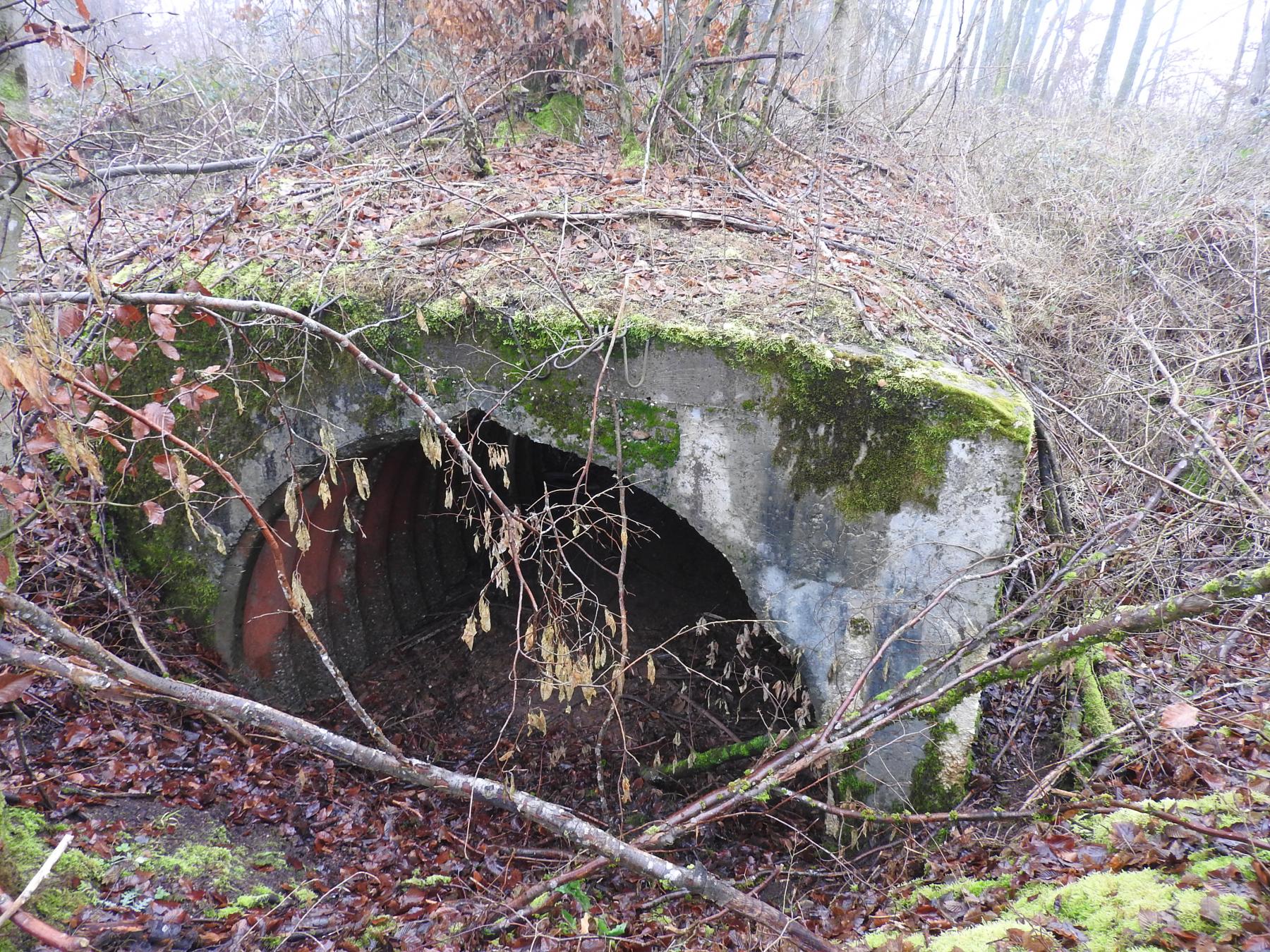 Ligne Maginot - ROHRWALD CENTRE - (Abri) - L'abri du Rohrwald. - STENGER Mathieu