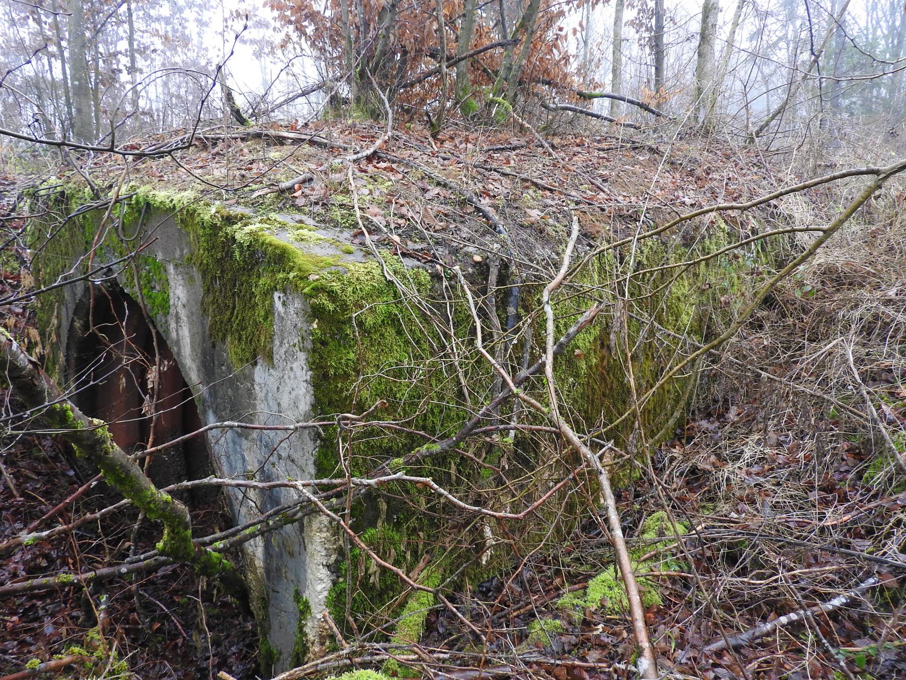 Ligne Maginot - ROHRWALD CENTRE - (Abri) - L'abri en béton et tôles métro. - STENGER Mathieu