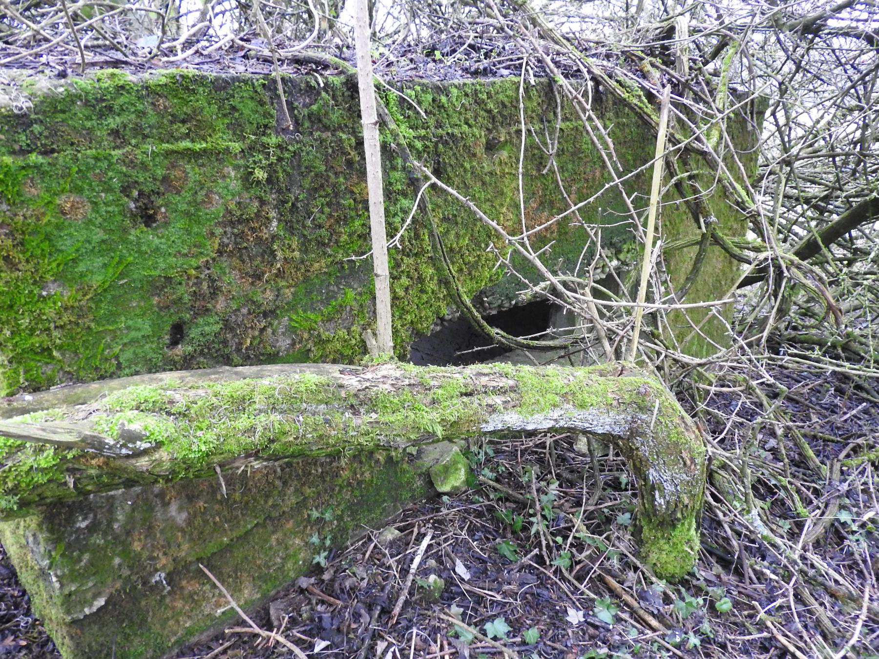 Ligne Maginot - STEINER DEL 2 - (Blockhaus pour arme infanterie) - La façade de tir et son créneau. - STENGER Mathieu