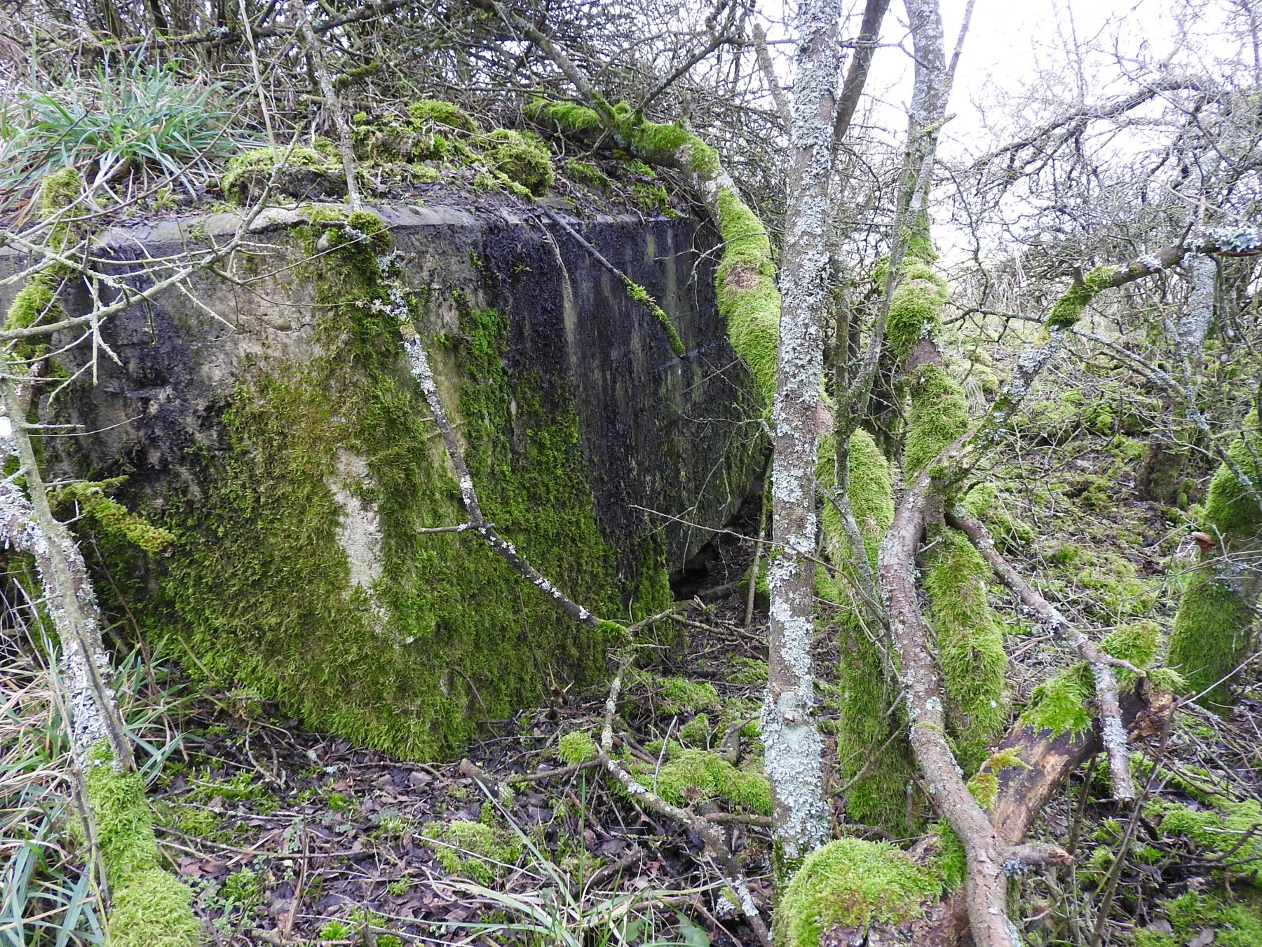 Ligne Maginot - SALWALD 4 - (Blockhaus pour canon) - La façade de tir. - STENGER Mathieu