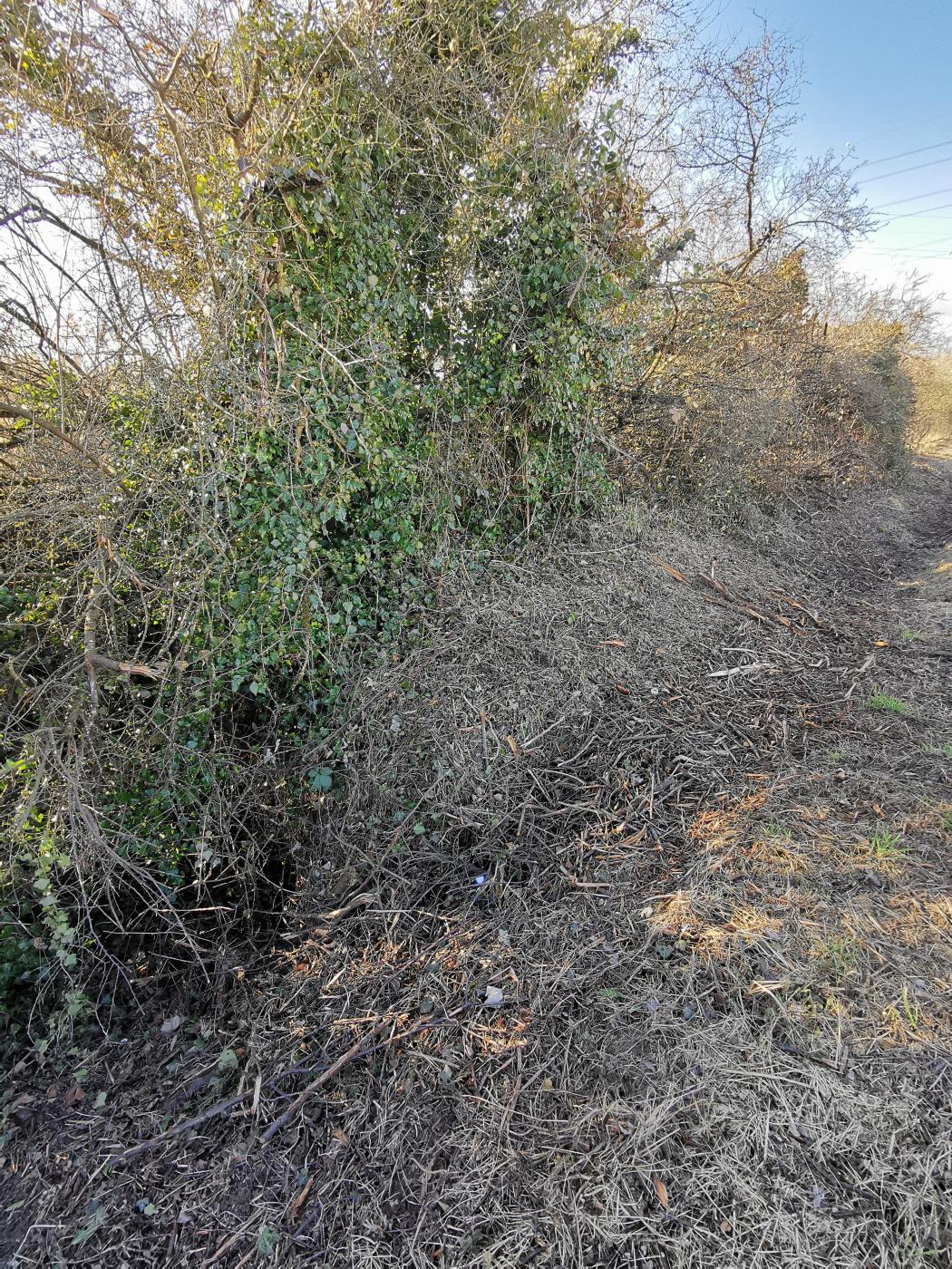 Ligne Maginot - BARRAGE DE KEMBS 5 - (Abri) - On ne voit que le dessus de l'abri, du côté route. Il semble incliné. - leiraph