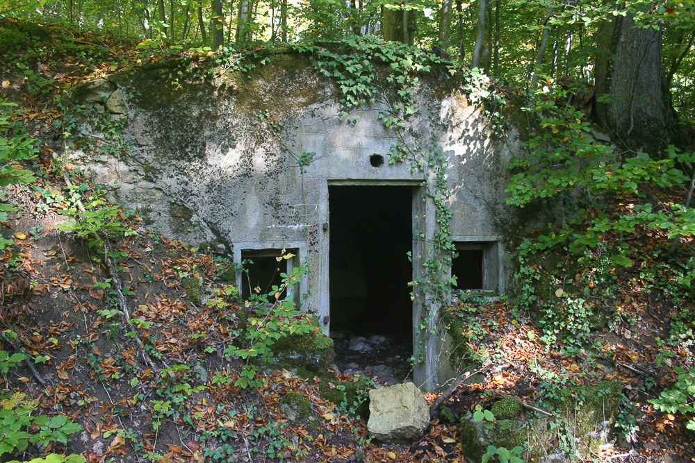 Ligne Maginot - BOIS DE LA COTE (169° RIF) - (PC de Sous-Secteur) -  - Michel Teiten