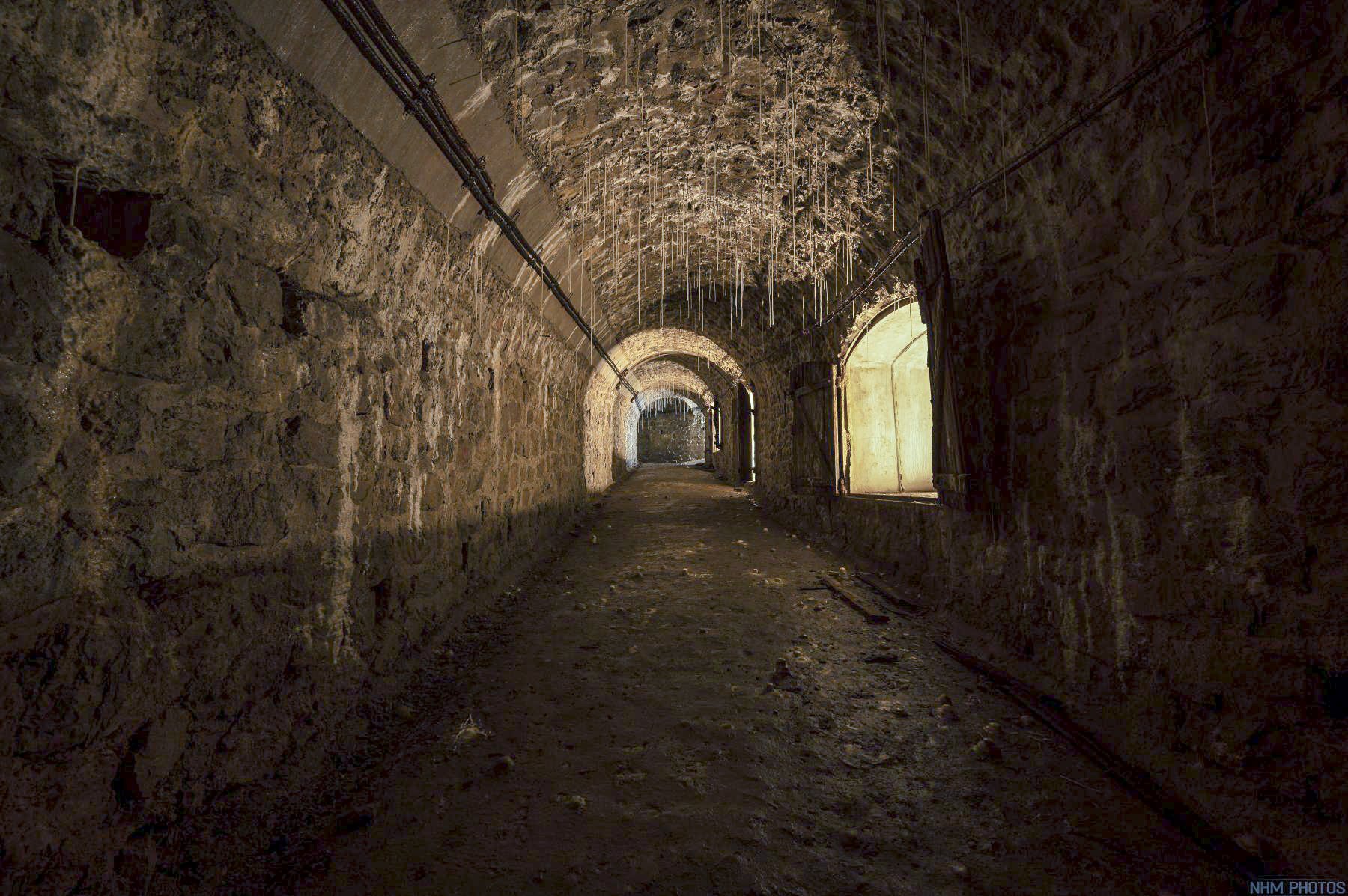 Ligne Maginot - JANUS - (Ouvrage d'artillerie) - Bloc 8 - Nicolas GUTH