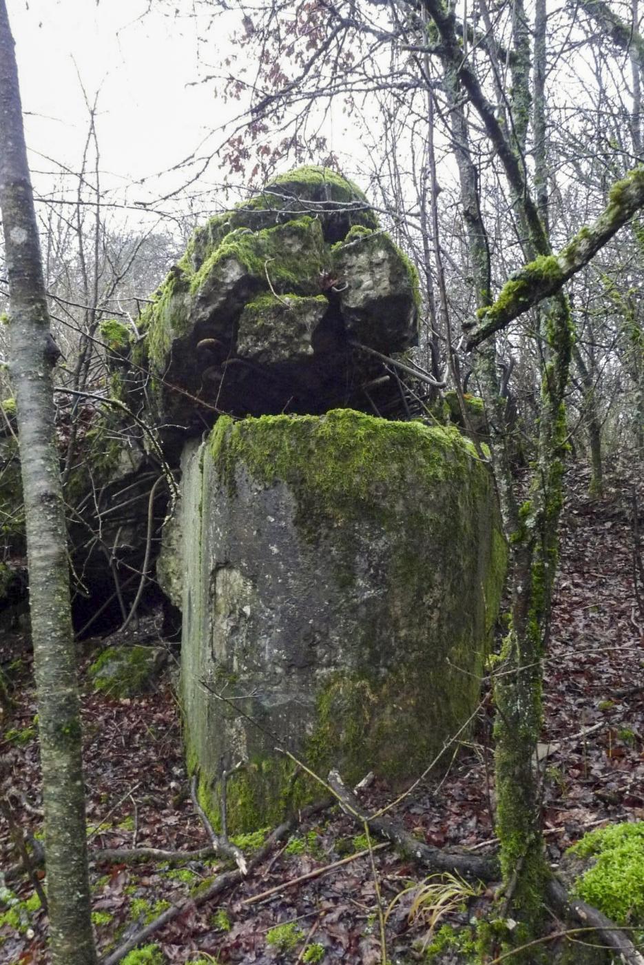 Ligne Maginot - C12B - COLLINE ROUGE - (Blockhaus pour canon) -  - Sylvie Laure LAMBERT