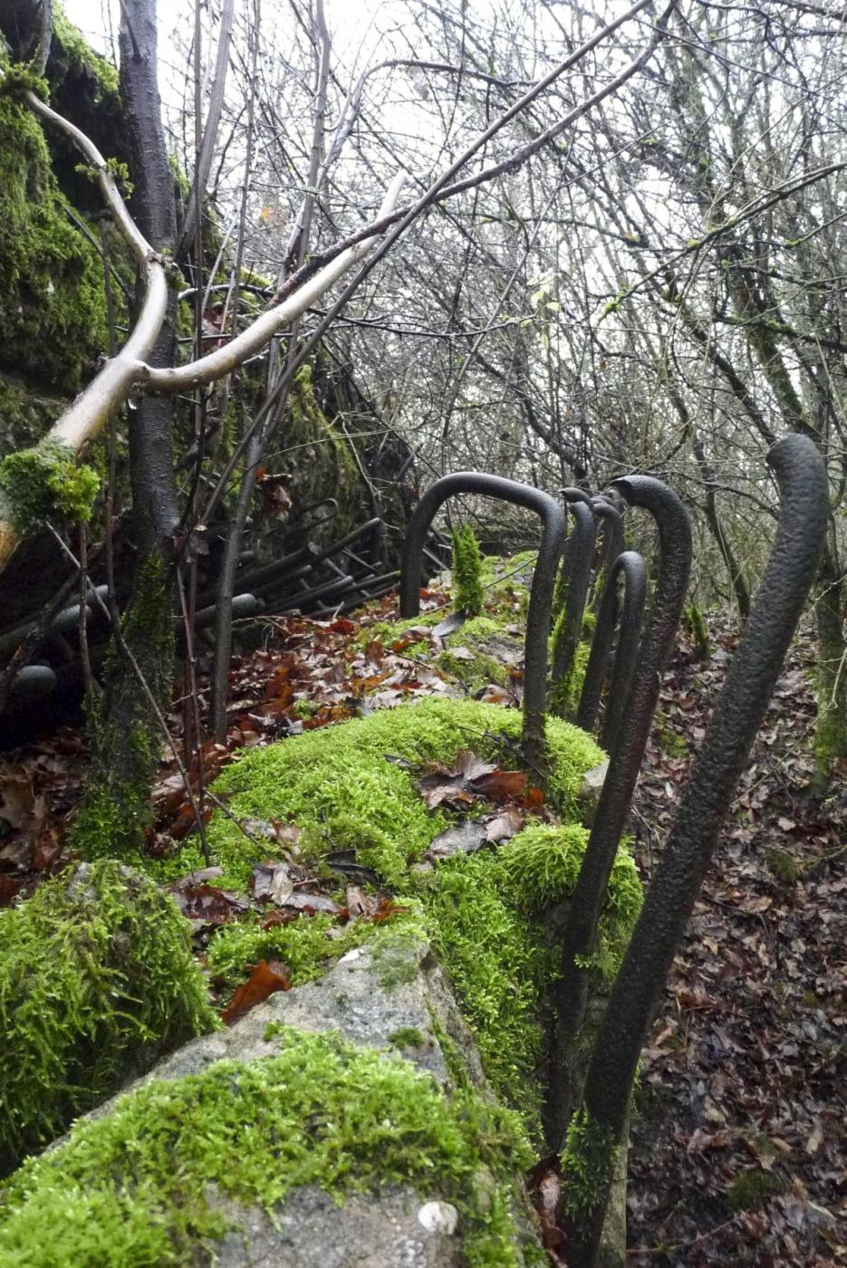 Ligne Maginot - C12B - COLLINE ROUGE - (Blockhaus pour canon) -  - Sylvie Laure LAMBERT