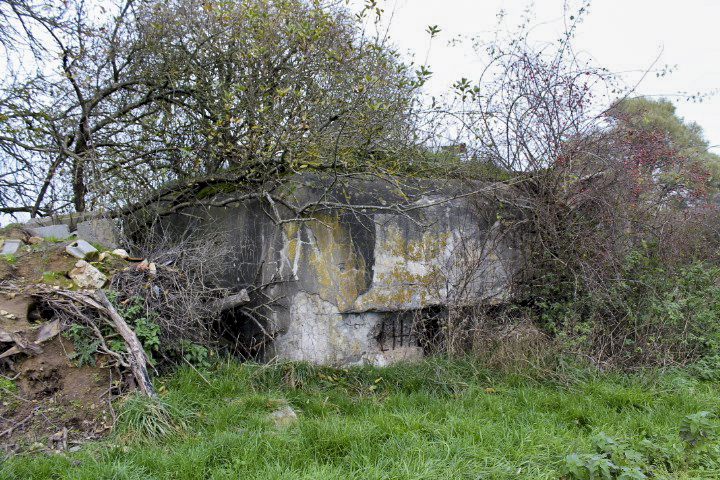 Ligne Maginot - C14 - CONFLUENT 1 - (Blockhaus pour canon) - Façade de tir - Christian LENHARD