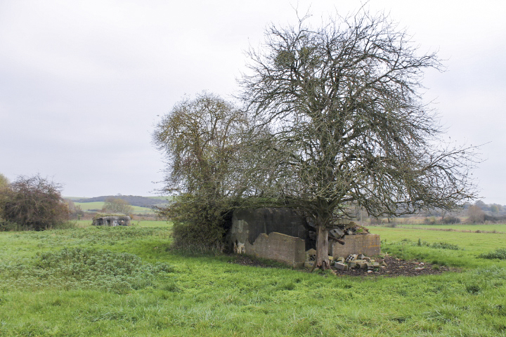 Ligne Maginot - C14 - CONFLUENT 1 - (Blockhaus pour canon) - Vue générale - Christian LENHARD