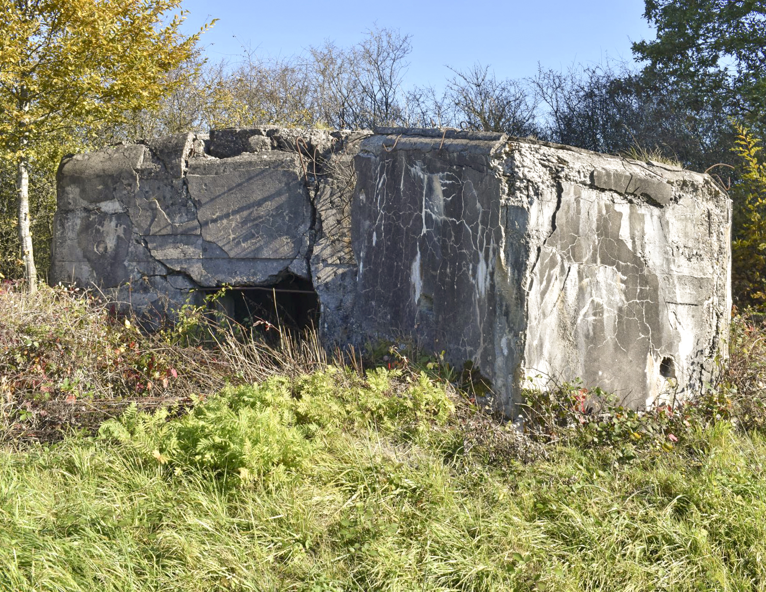 Ligne Maginot - C15N - LA BARRIERE 1 - (Blockhaus pour canon) - Façade arrière - Daniel Froehly