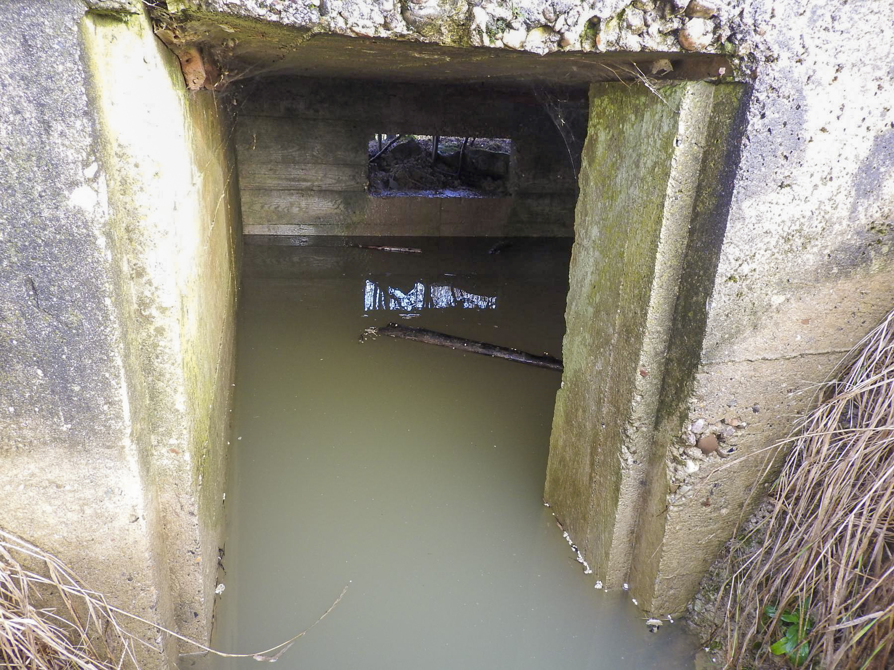 Ligne Maginot - STOECKWALD EST - (Blockhaus pour arme infanterie) - L'intérieur est inondé. - STENGER Mathieu