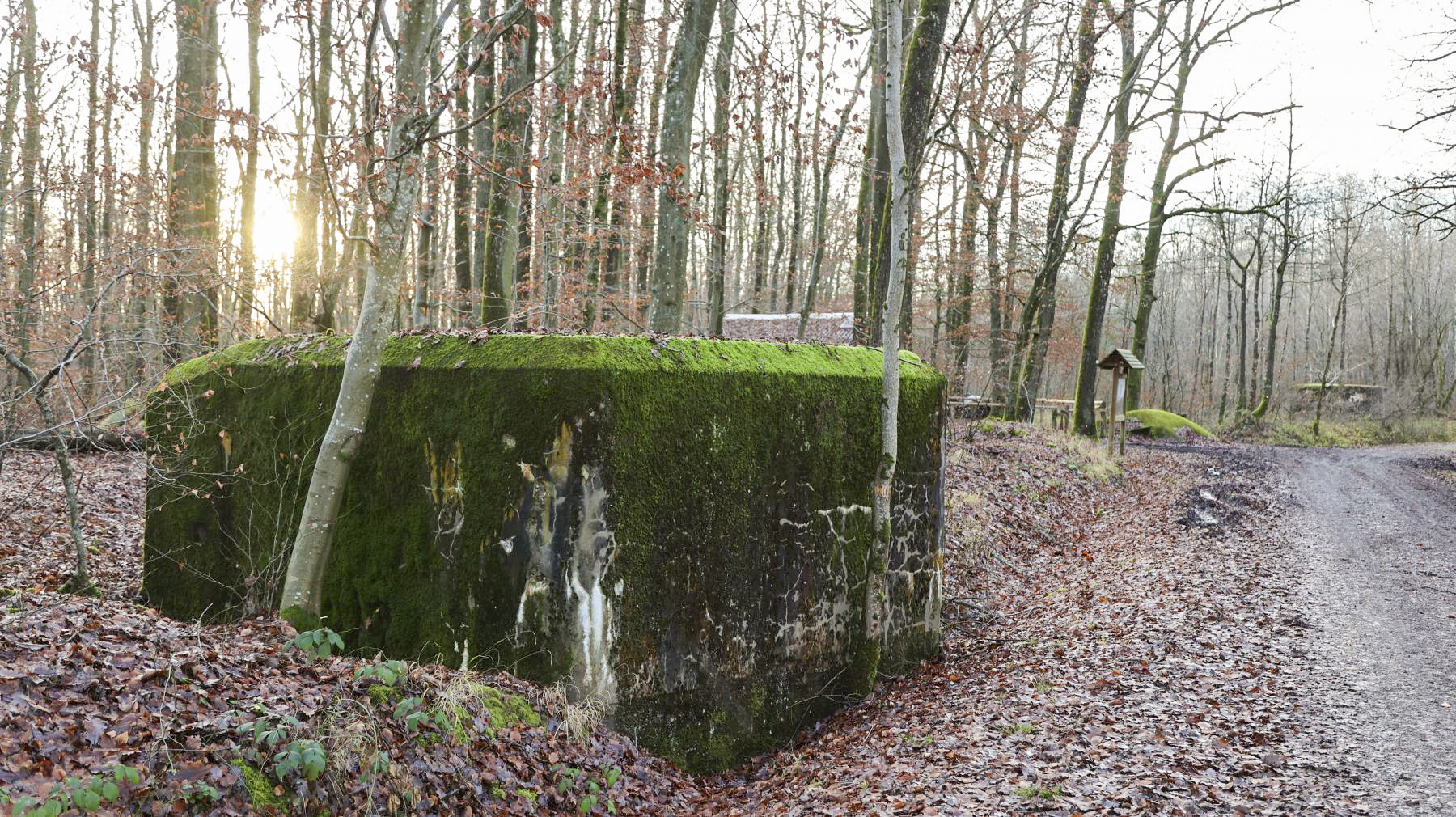 Ligne Maginot - HUEHNERBERG 4 - (Blockhaus pour arme infanterie) -  - Clod57