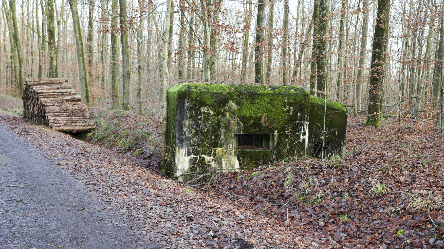 Ligne Maginot - HUEHNERBERG 4 - (Blockhaus pour arme infanterie) -  - Clod57