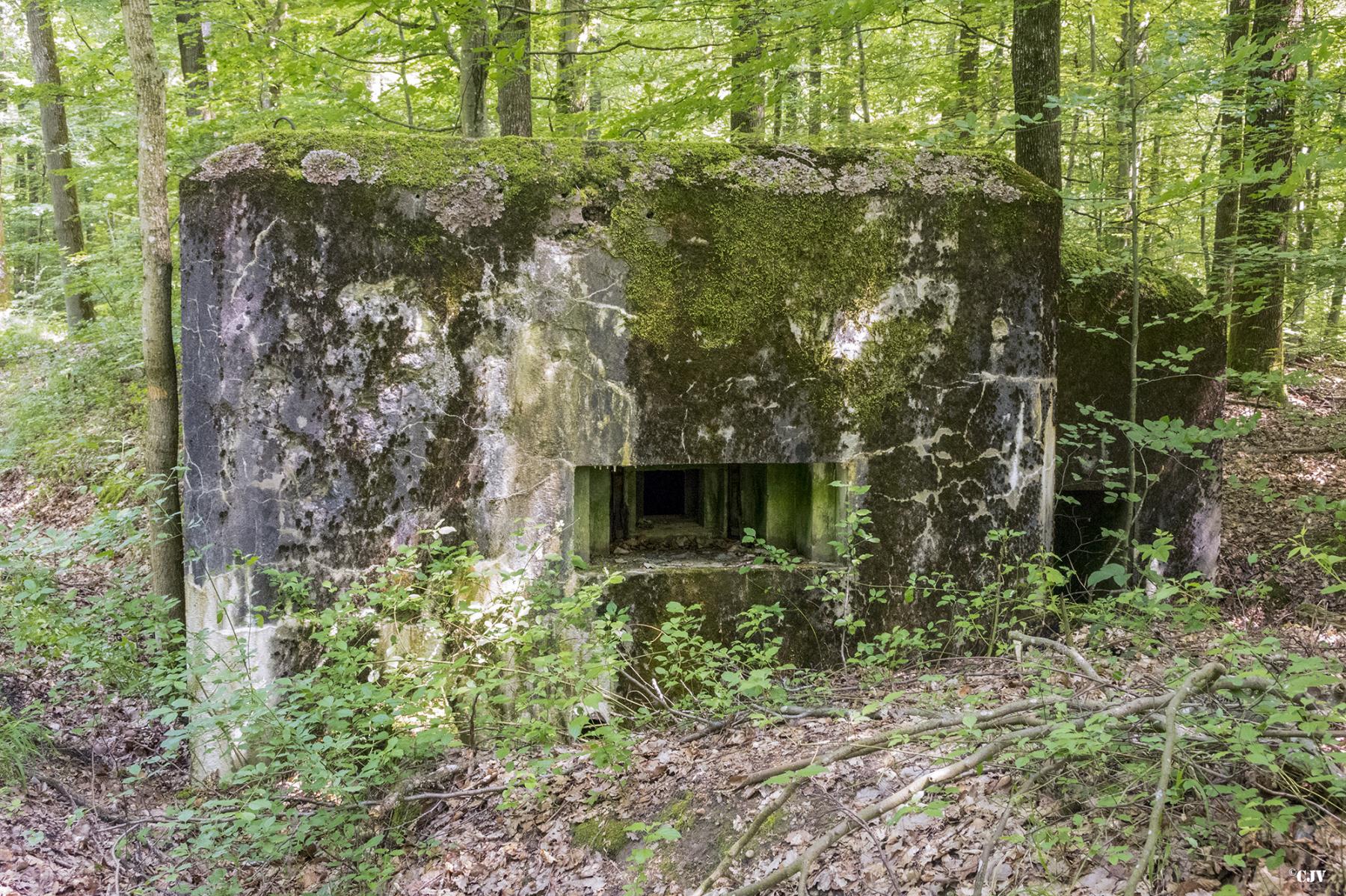 Ligne Maginot - HUEHNERBERG 4 - (Blockhaus pour arme infanterie) -  - Lia VERMEULEN