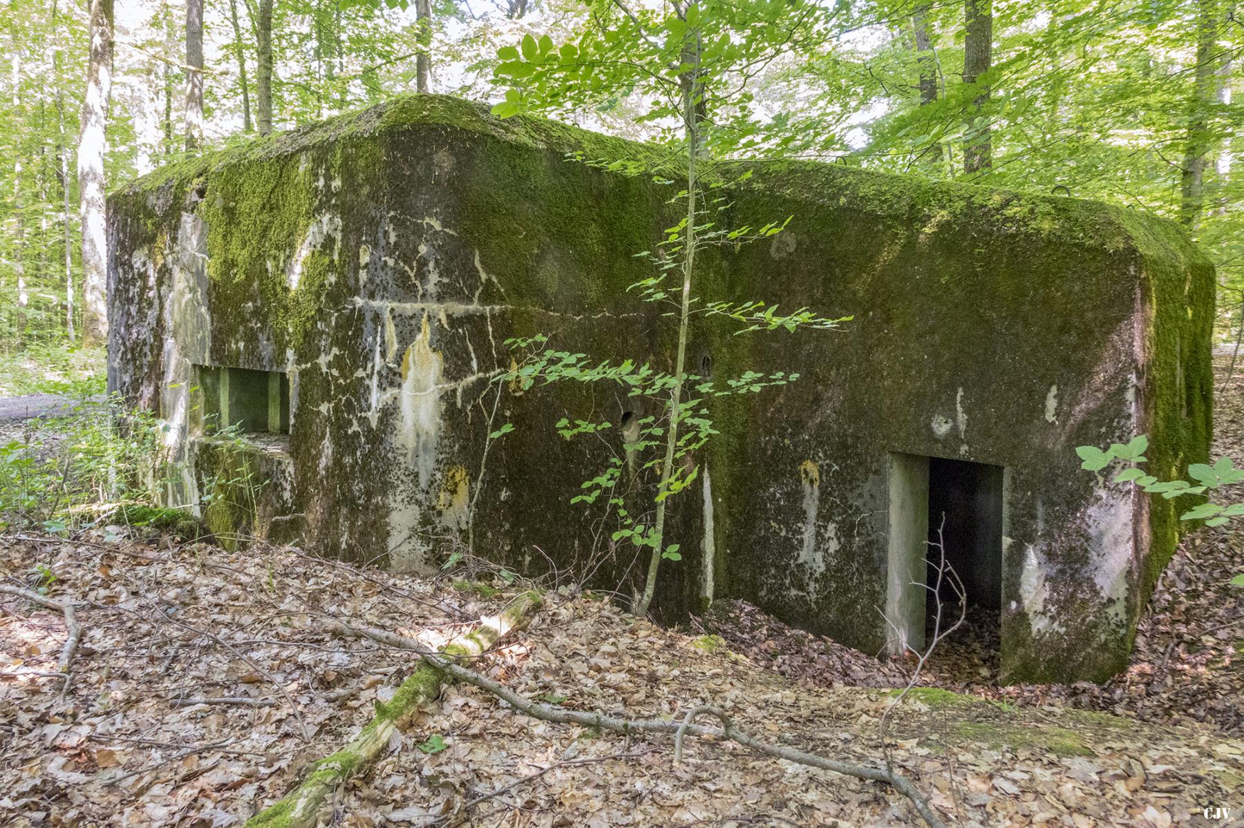 Ligne Maginot - HUEHNERBERG 4 - (Blockhaus pour arme infanterie) -  - Lia VERMEULEN