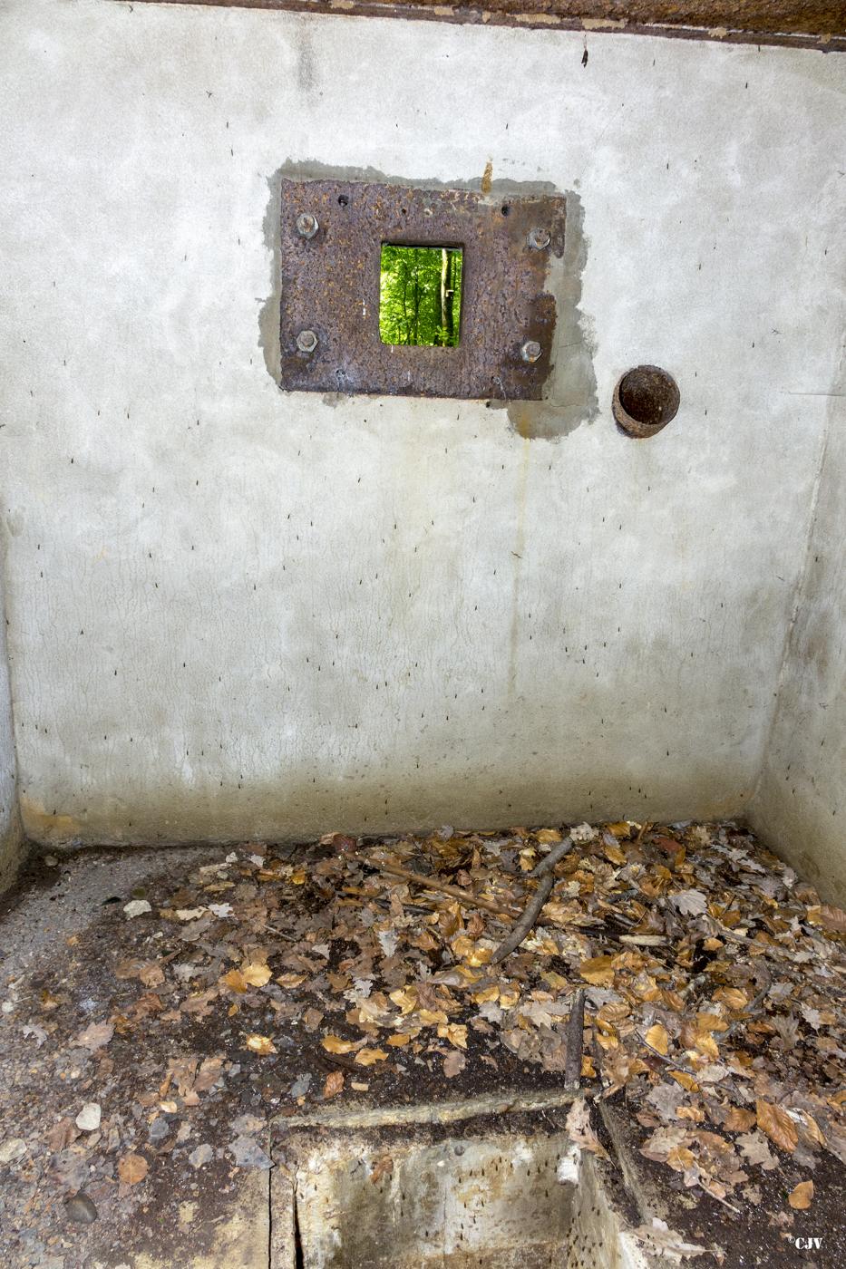 Ligne Maginot - HUEHNERBERG 4 - (Blockhaus pour arme infanterie) - La créneau  - Lia VERMEULEN