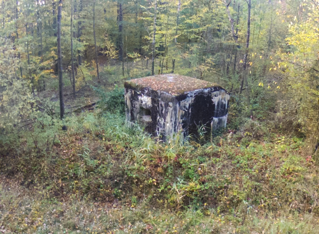 Ligne Maginot - HUEHNERBERG 2 - (Blockhaus pour arme infanterie) -  - jin jac