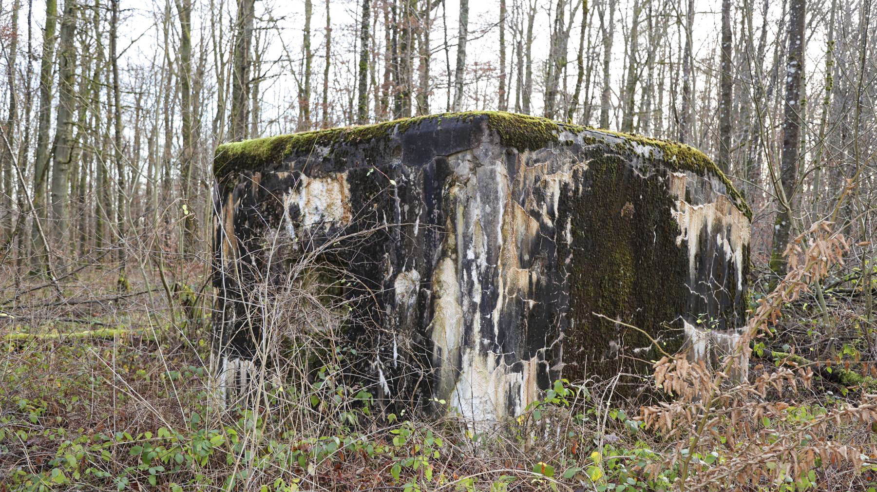Ligne Maginot - HUEHNERBERG 2 - (Blockhaus pour arme infanterie) -  - Clod57