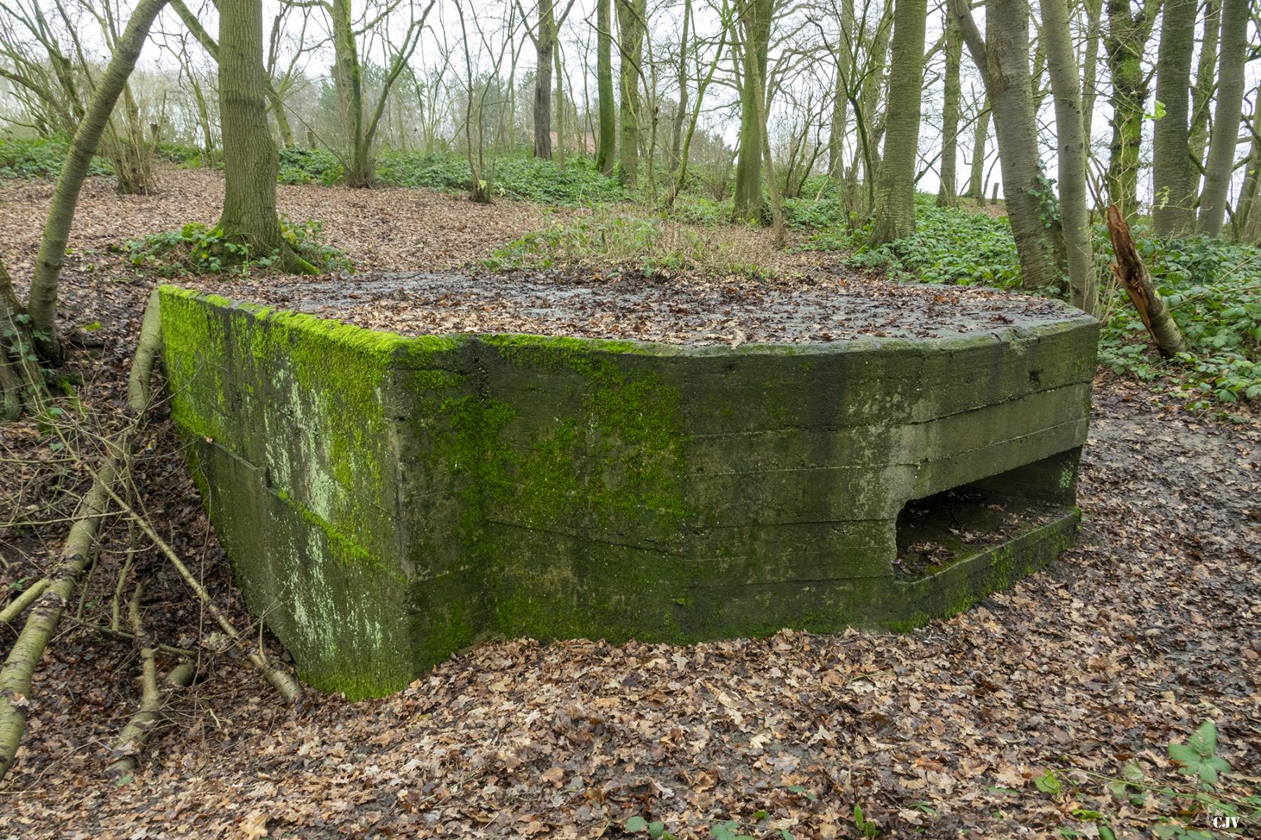 Ligne Maginot - B243 - WERVICQ SUD - (Observatoire indéterminé) -  - Caspar Vermeulen