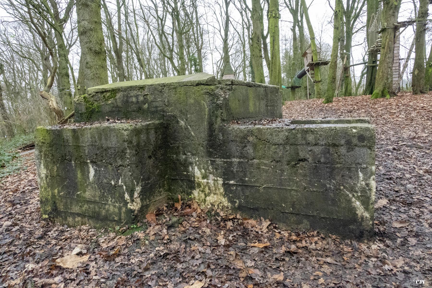Ligne Maginot - B242 - WERVICQ NORD - (Observatoire indéterminé) -  - Lia VERMEULEN