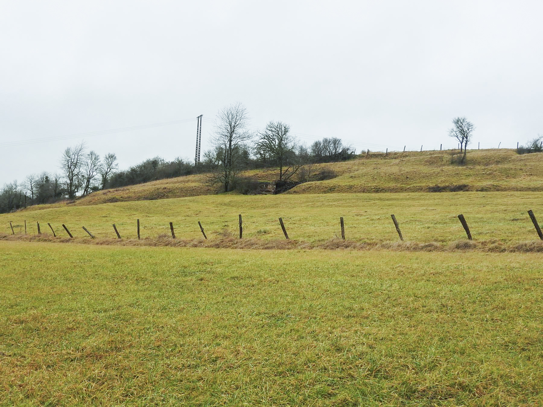 Ligne Maginot - GEBELSWIESE 1 - (Blockhaus pour canon) - Le blockhaus est construit contre une élévation du terrain. - STENGER Mathieu