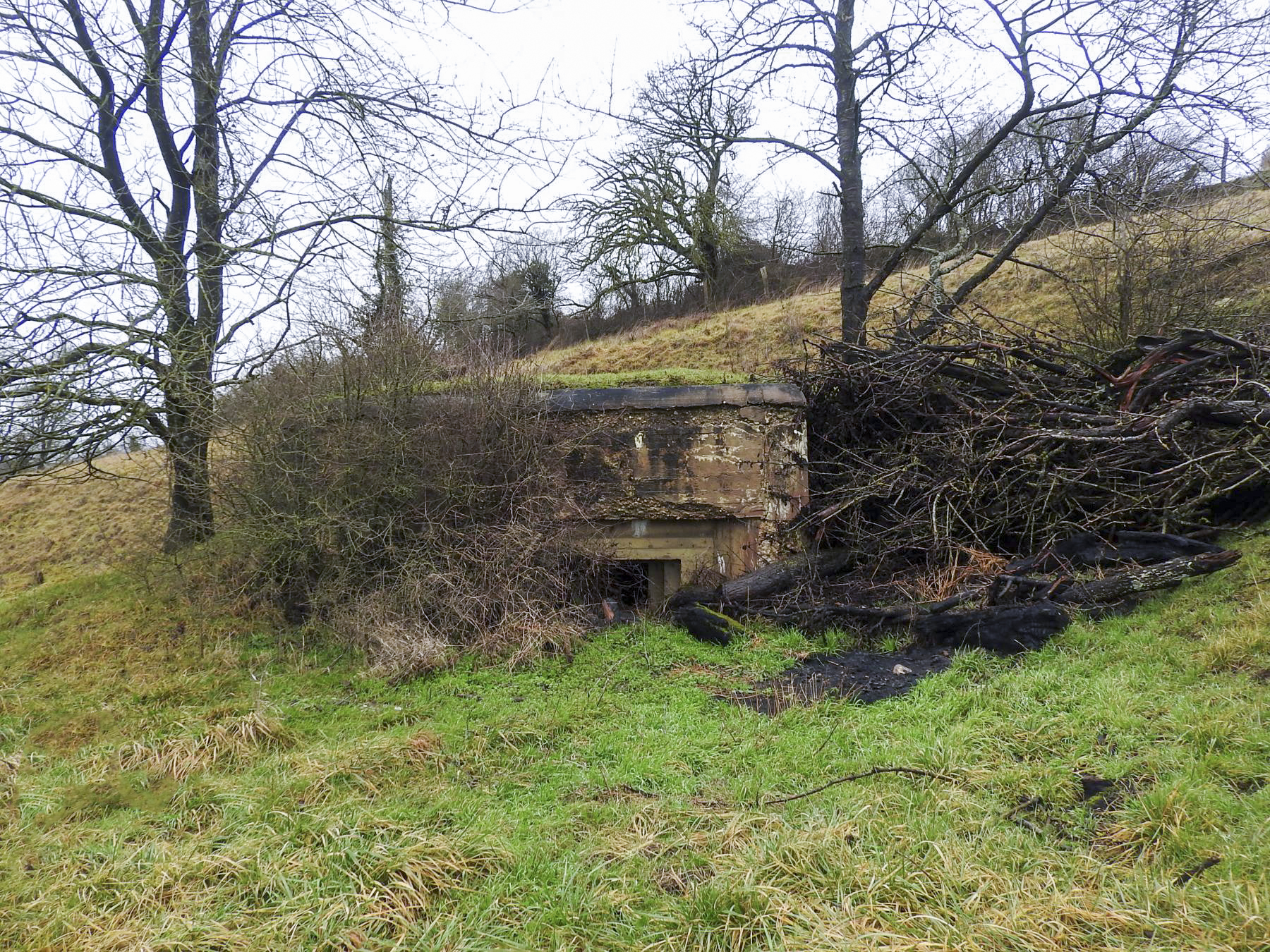 Ligne Maginot - GEBELSWIESE 1 - (Blockhaus pour canon) - La façade de flanquement Ouest-sud-ouest. - STENGER Mathieu