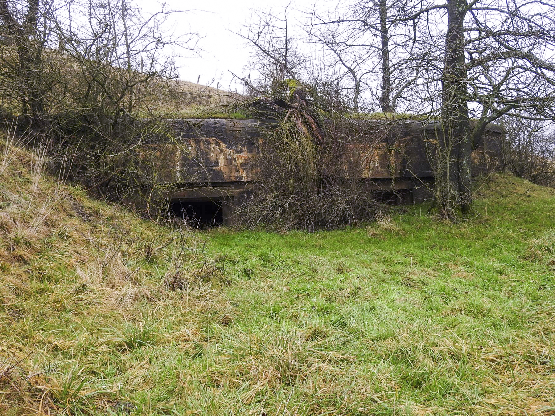 Ligne Maginot - GEBELSWIESE 1 - (Blockhaus pour canon) - L'entrée et le flanquement Sud-sud-est. - STENGER Mathieu